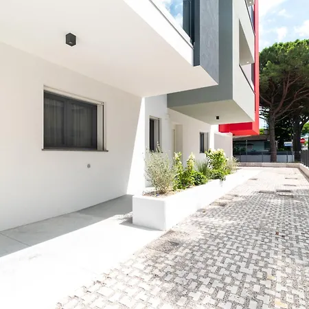 One Life ביביונה